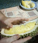 Durian